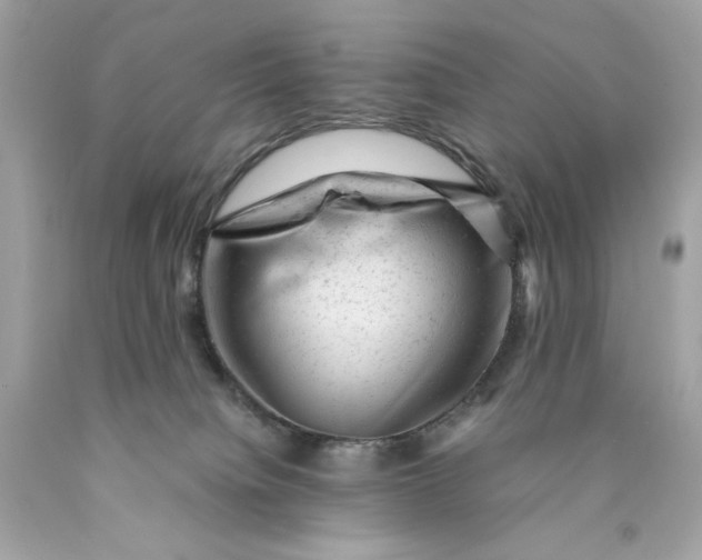 X0000089950084200707201935