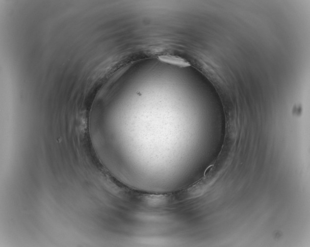 X0000089950085200707201935