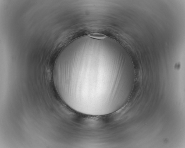 X0000089950086200707201935