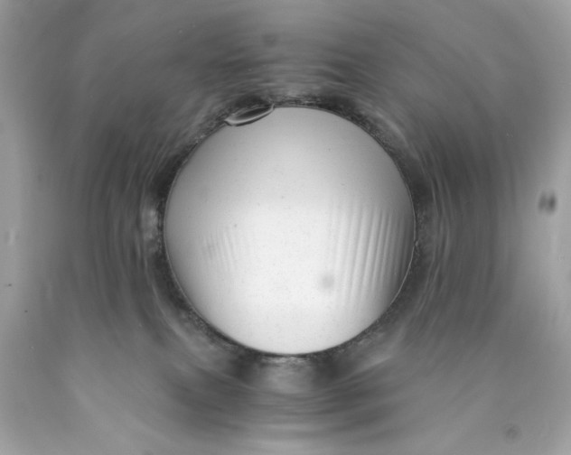 X0000089950087200707201935