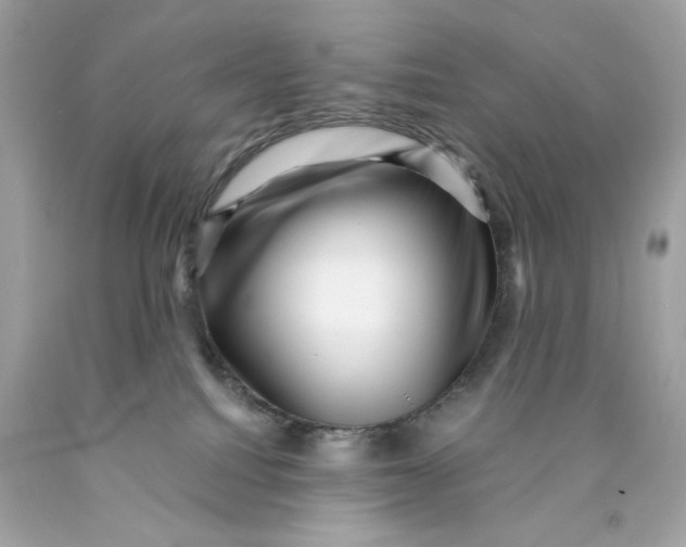 X0000089950088200707201935