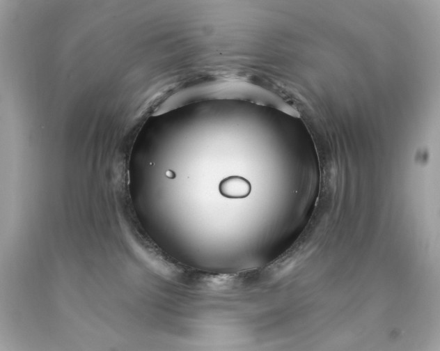 X0000089950092200707201935