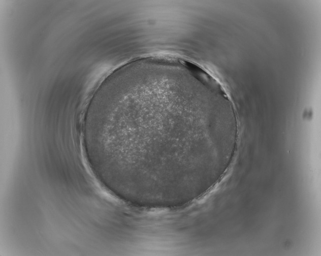 X0000089950097200707201934