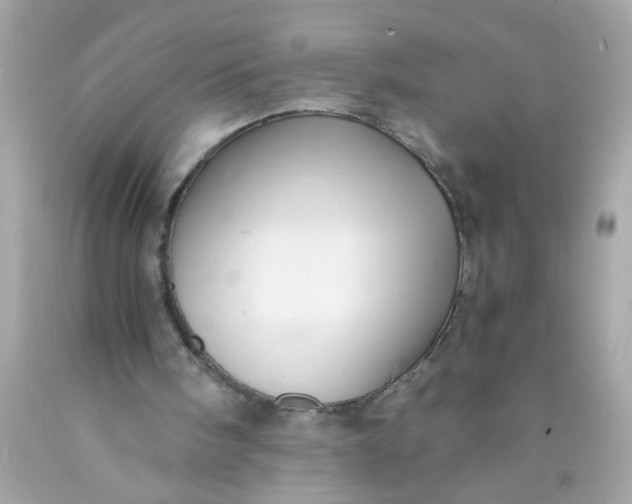 X0000089950098200707201934