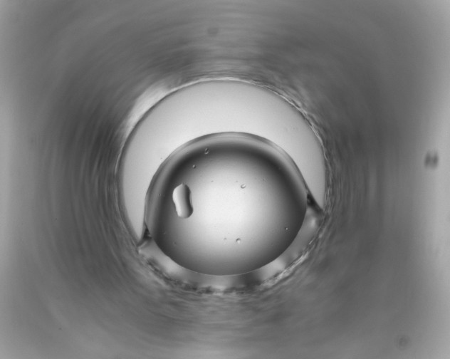 X0000089950099200707201934