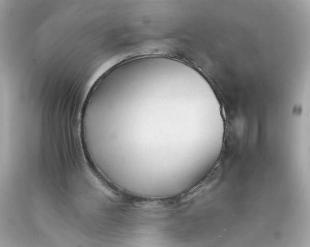 X0000089950100200707201934