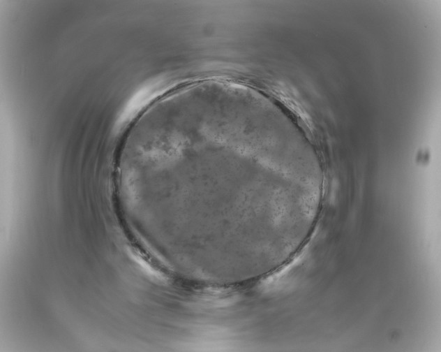 X0000089950101200707201934