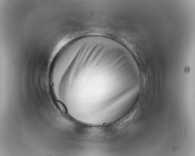 X0000089950102200707201934