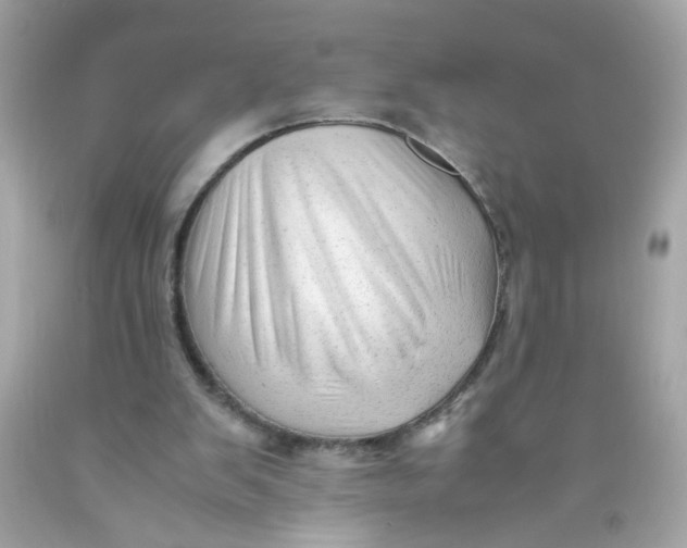 X0000089950103200707201934