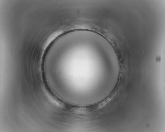 X0000089950104200707201934