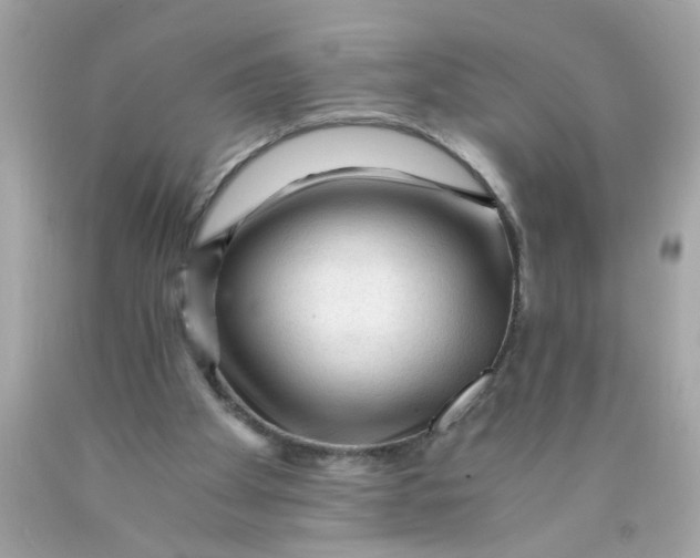 X0000089950105200707201934