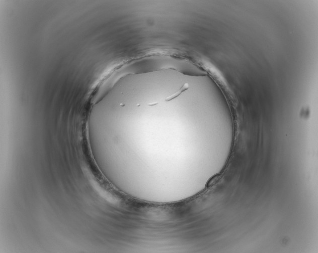 X0000089950106200707201934