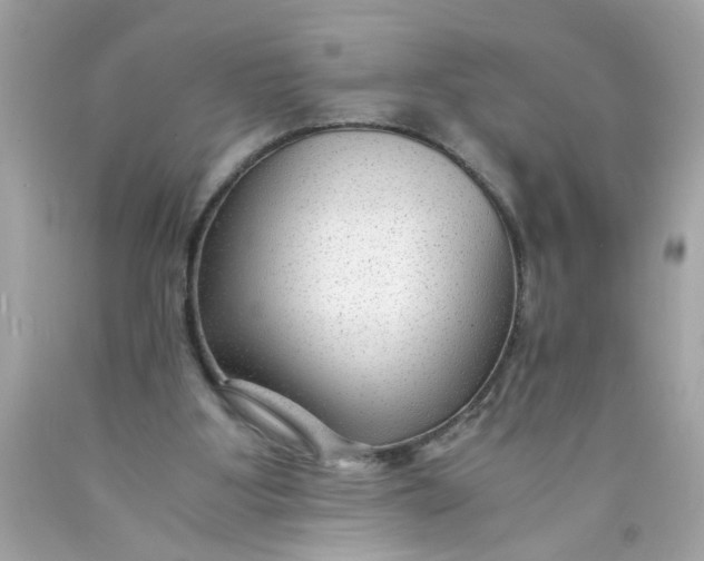 X0000089950107200707201934