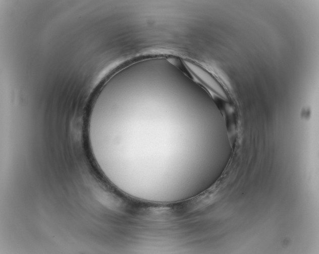 X0000089950108200707201934