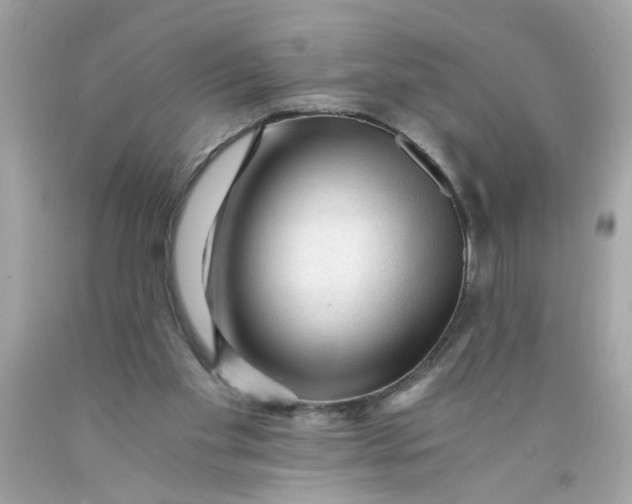 X0000089950109200707201934