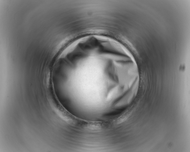 X0000089950110200707201934