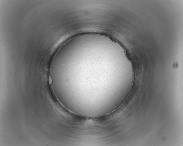 X0000089950111200707201934