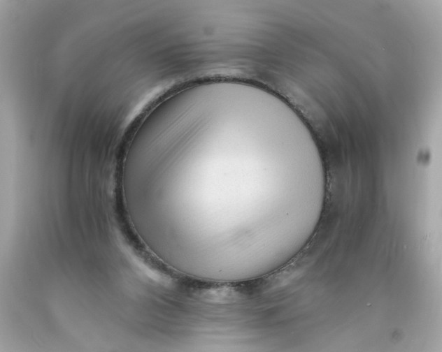 X0000089950112200707201934