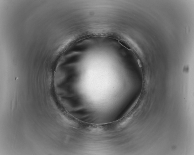 X0000089950113200707201934