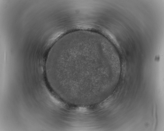 X0000089950114200707201934