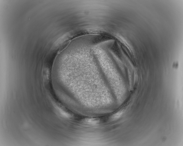 X0000089950117200707201934