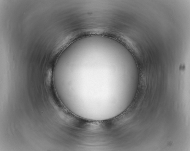 X0000089950118200707201934