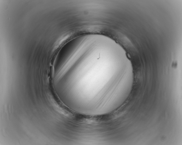 X0000089950120200707201934