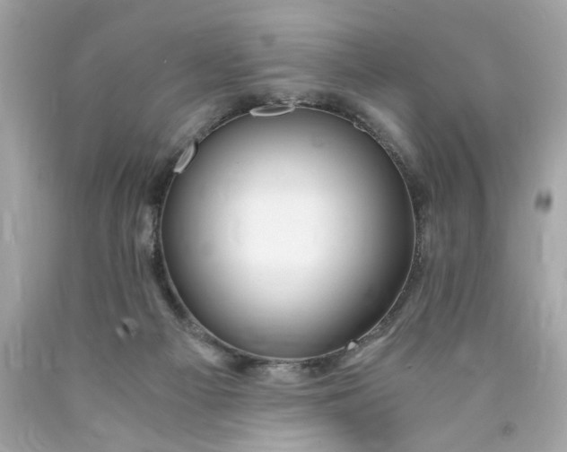 X0000089950121200707201934