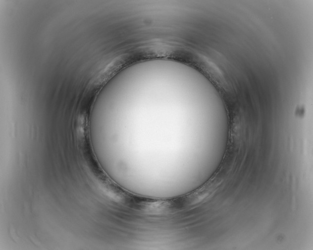 X0000089950122200707201934