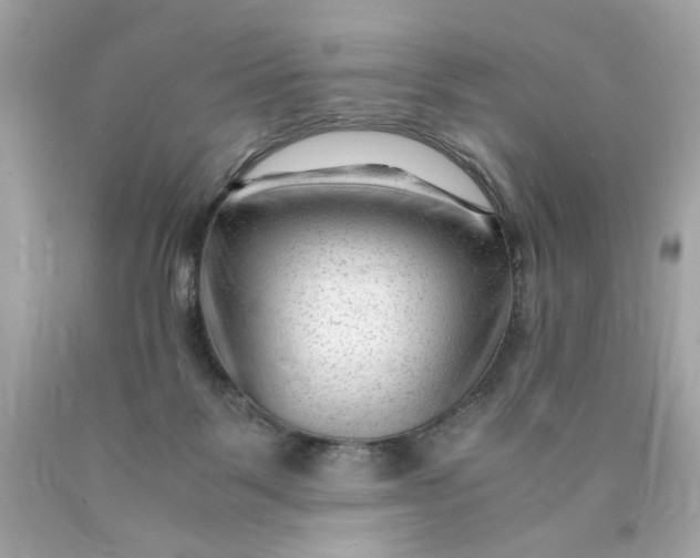 X0000089950123200707201934