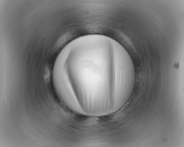 X0000089950124200707201934