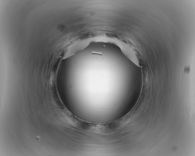 X0000089950125200707201934