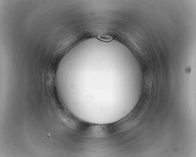 X0000089950126200707201934