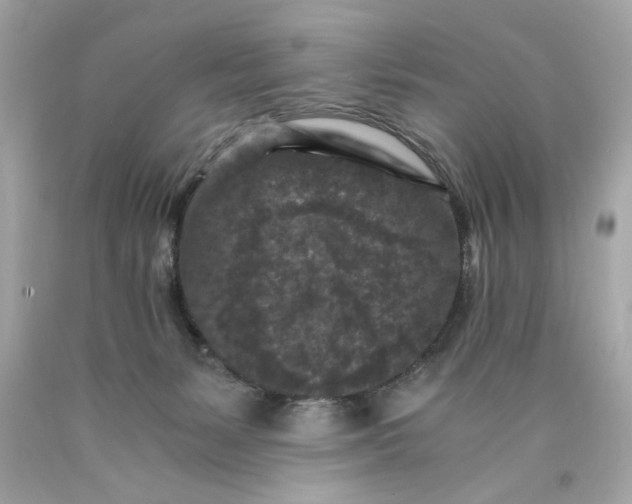 X0000089950127200707201934