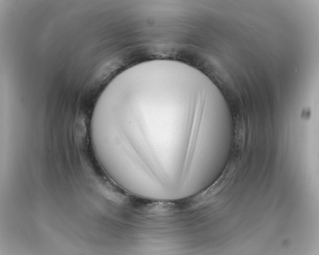 X0000089950128200707201934