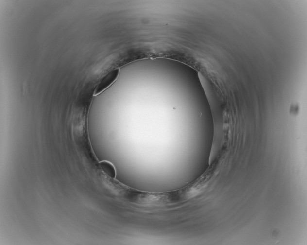 X0000089950129200707201934