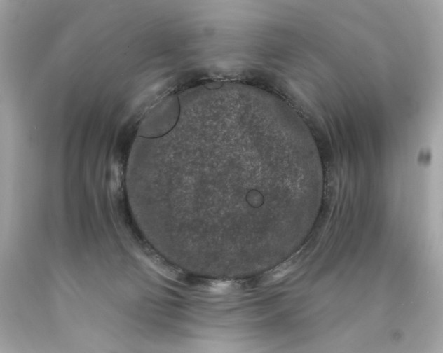 X0000089950130200707201934