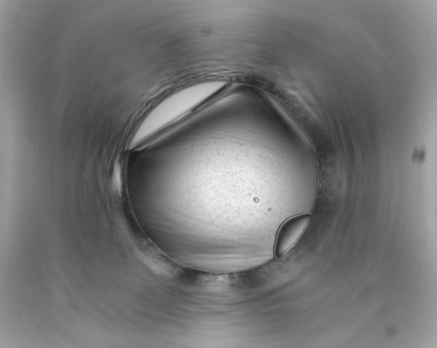 X0000089950131200707201934