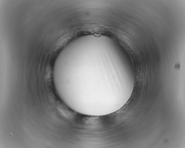 X0000089950132200707201934