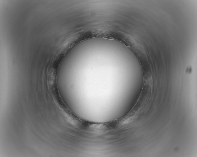 X0000089950133200707201934