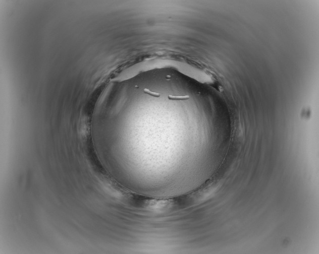 X0000089950135200707201934