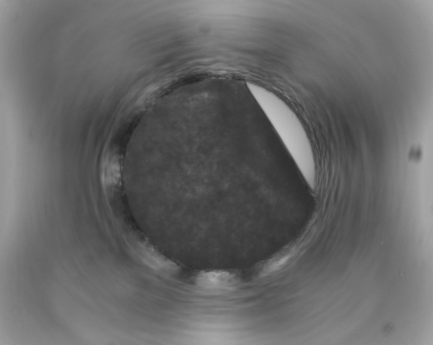 X0000089950137200707201934