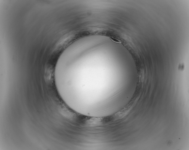 X0000089950138200707201934