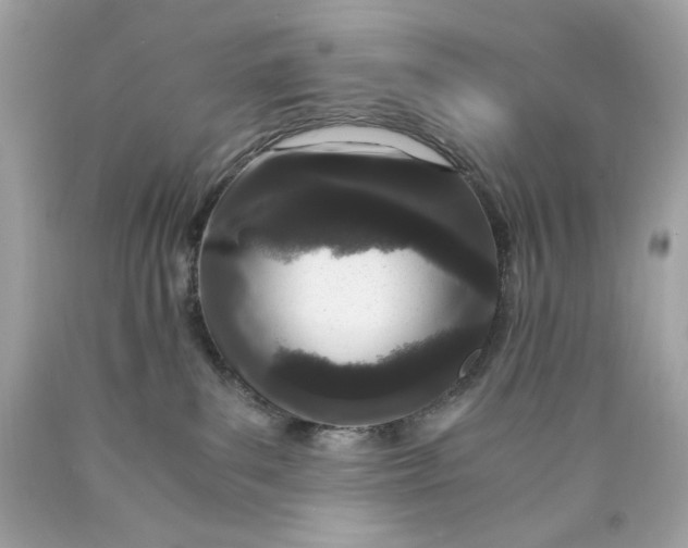 X0000089950139200707201934