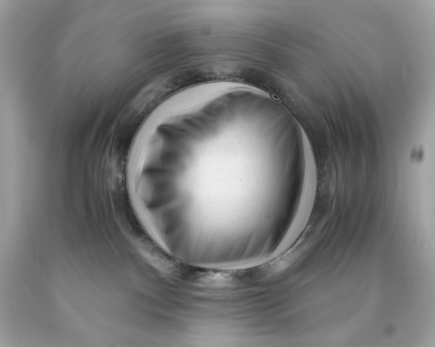 X0000089950140200707201934