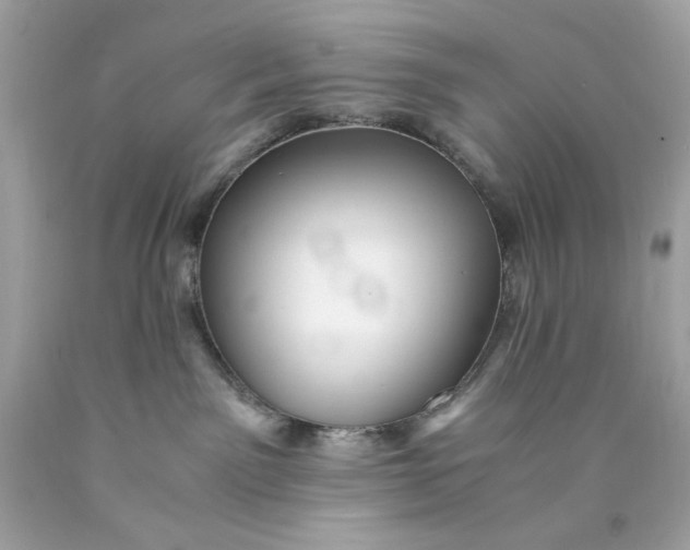 X0000089950141200707201934