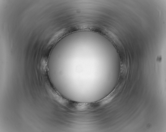 X0000089950142200707201933