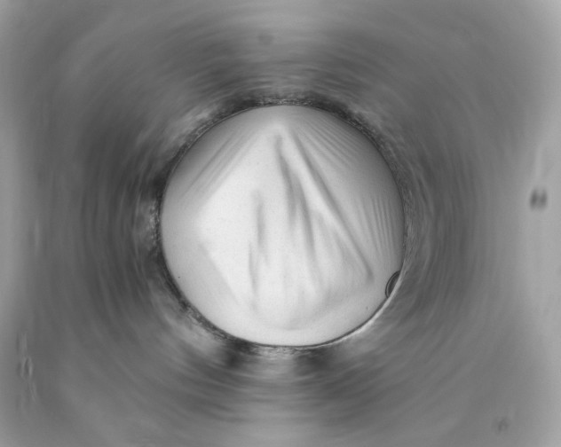 X0000089950144200707201933