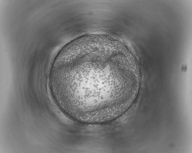 X0000089950145200707201933