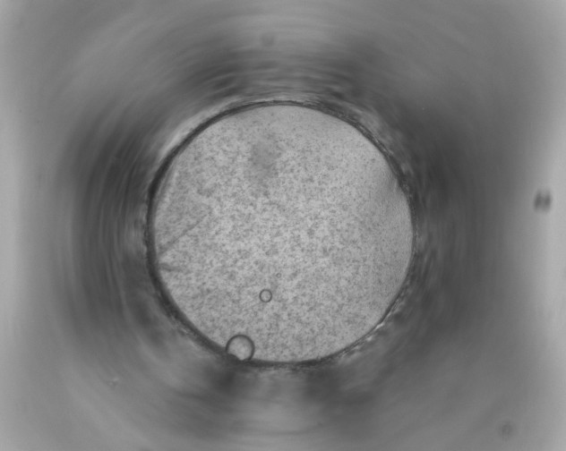 X0000089950146200707201933